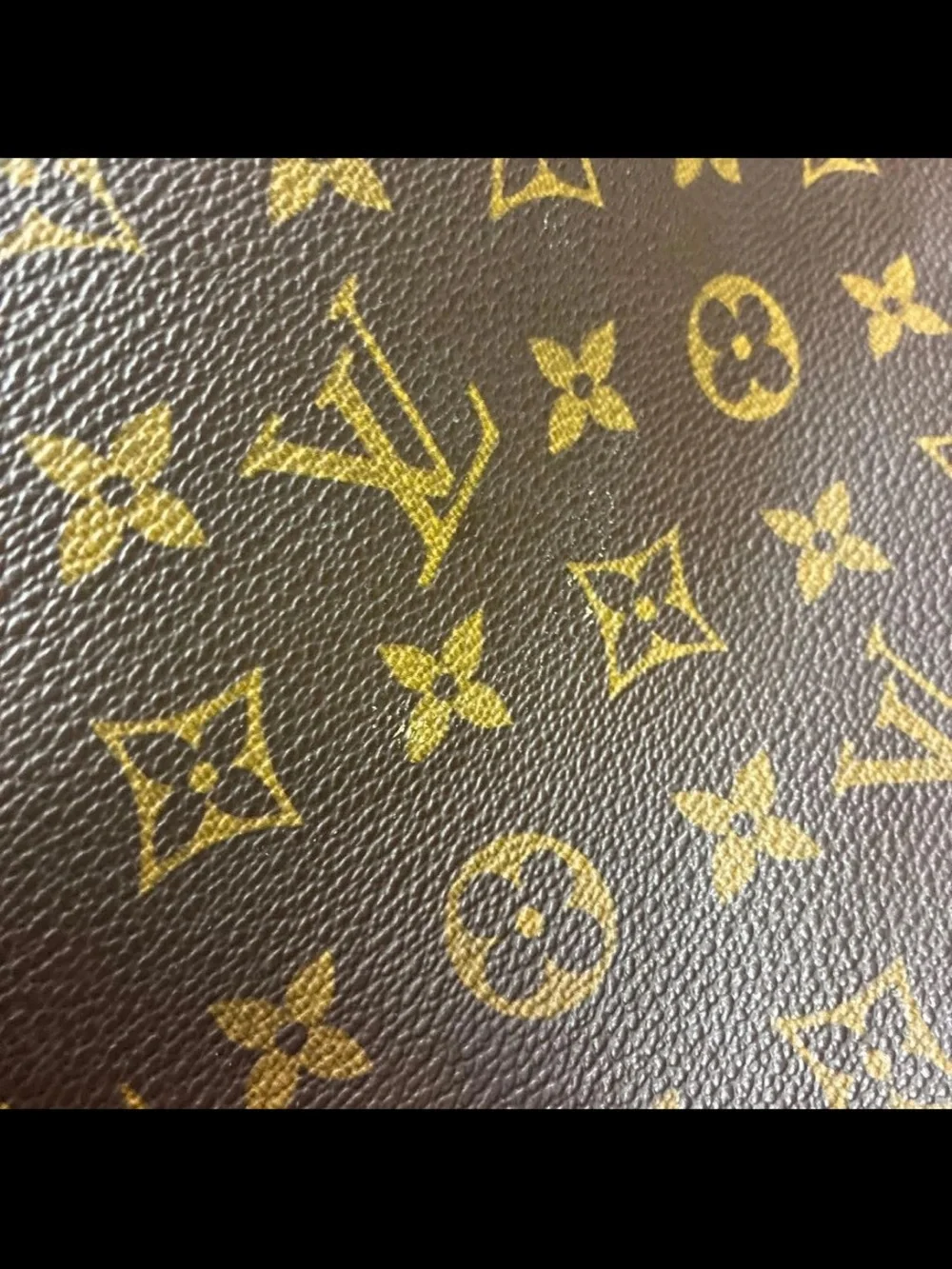 Louis Vuitton Monogram Alma PM Satchel in Brown and Natural Vachetta